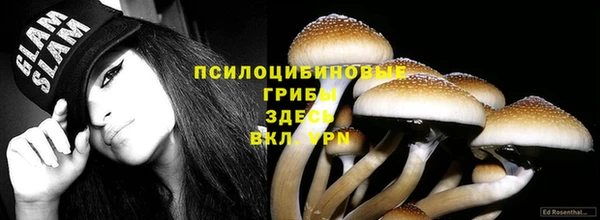 молекула духа Зеленокумск