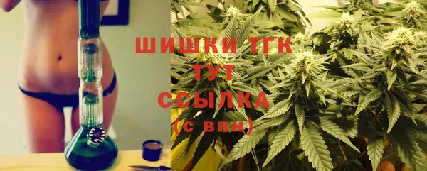 молекула духа Зеленокумск