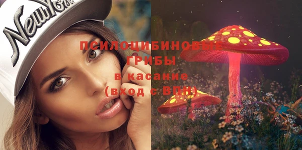 молекула духа Зеленокумск