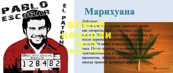 молекула духа Зеленокумск