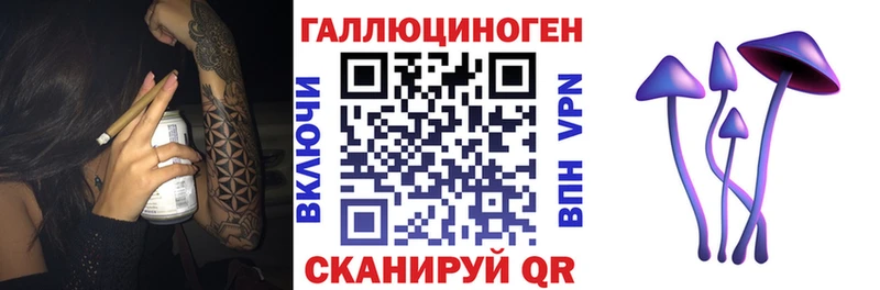 Купить закладки  Княгинино  Галлюциногенные грибы Psilocybine cubensis 